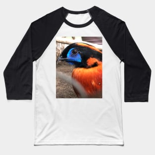 Pheasant Baseball T-Shirt